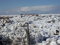 PIC003