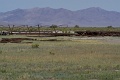 PIC011