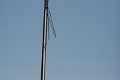 PIC014