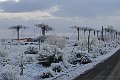 Mar_2018