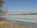 PIC091